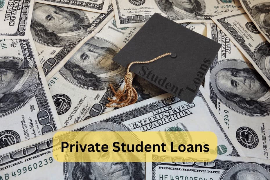 E. The Hidden Costs_ Five Major Drawbacks of Choosing Private Student Loans